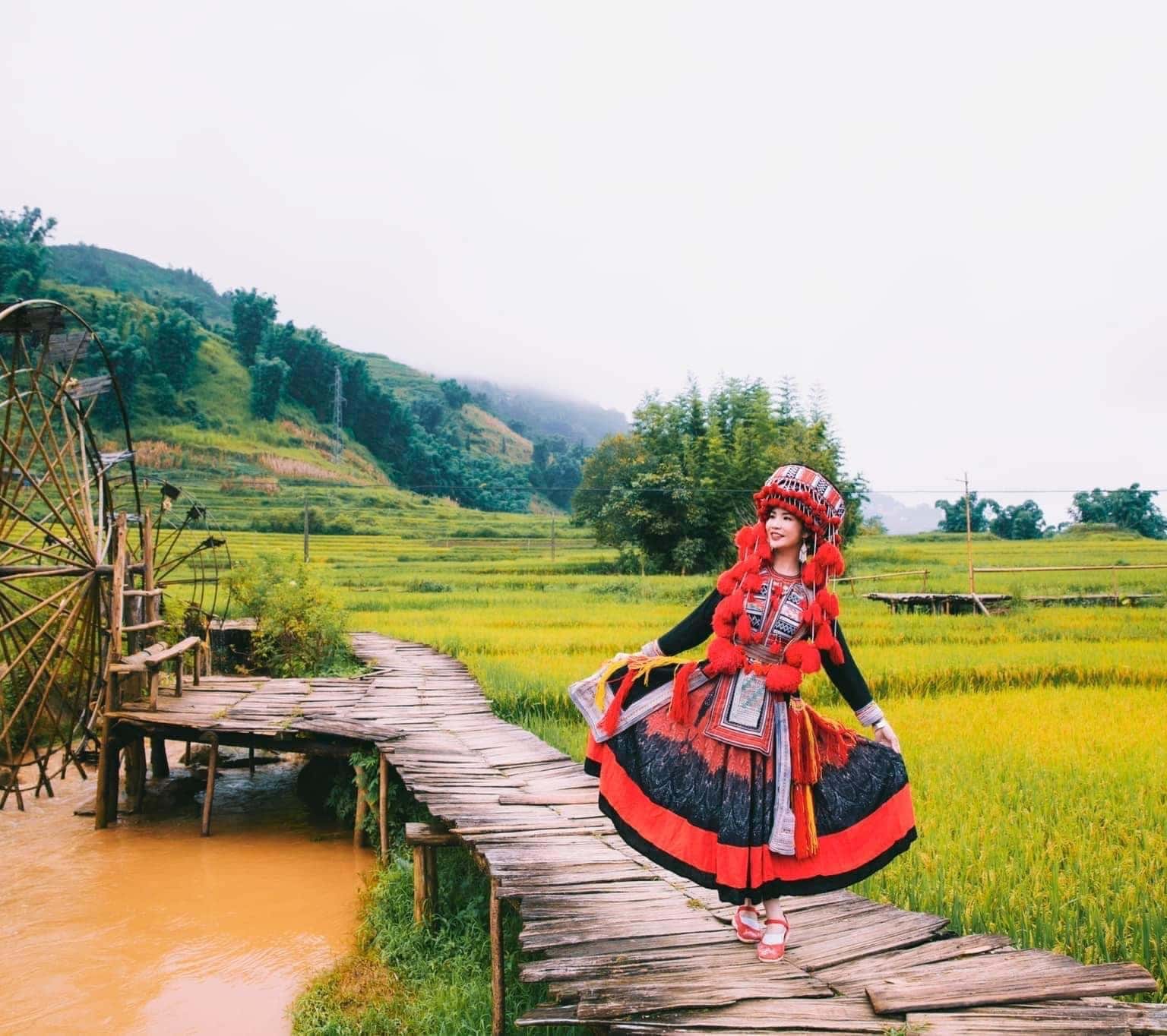 justfly ban cat cat sapa