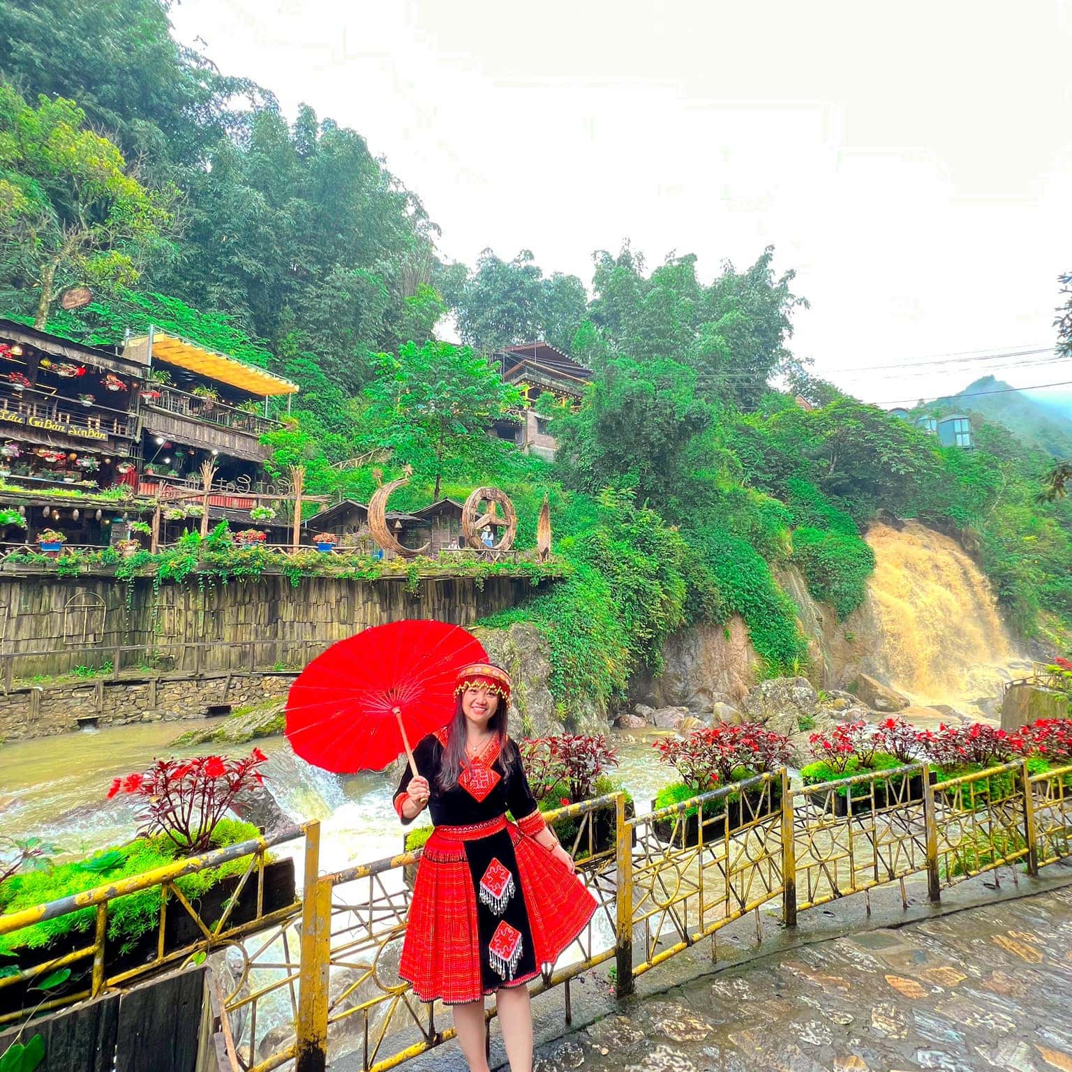 justfly ban cat cat sapa