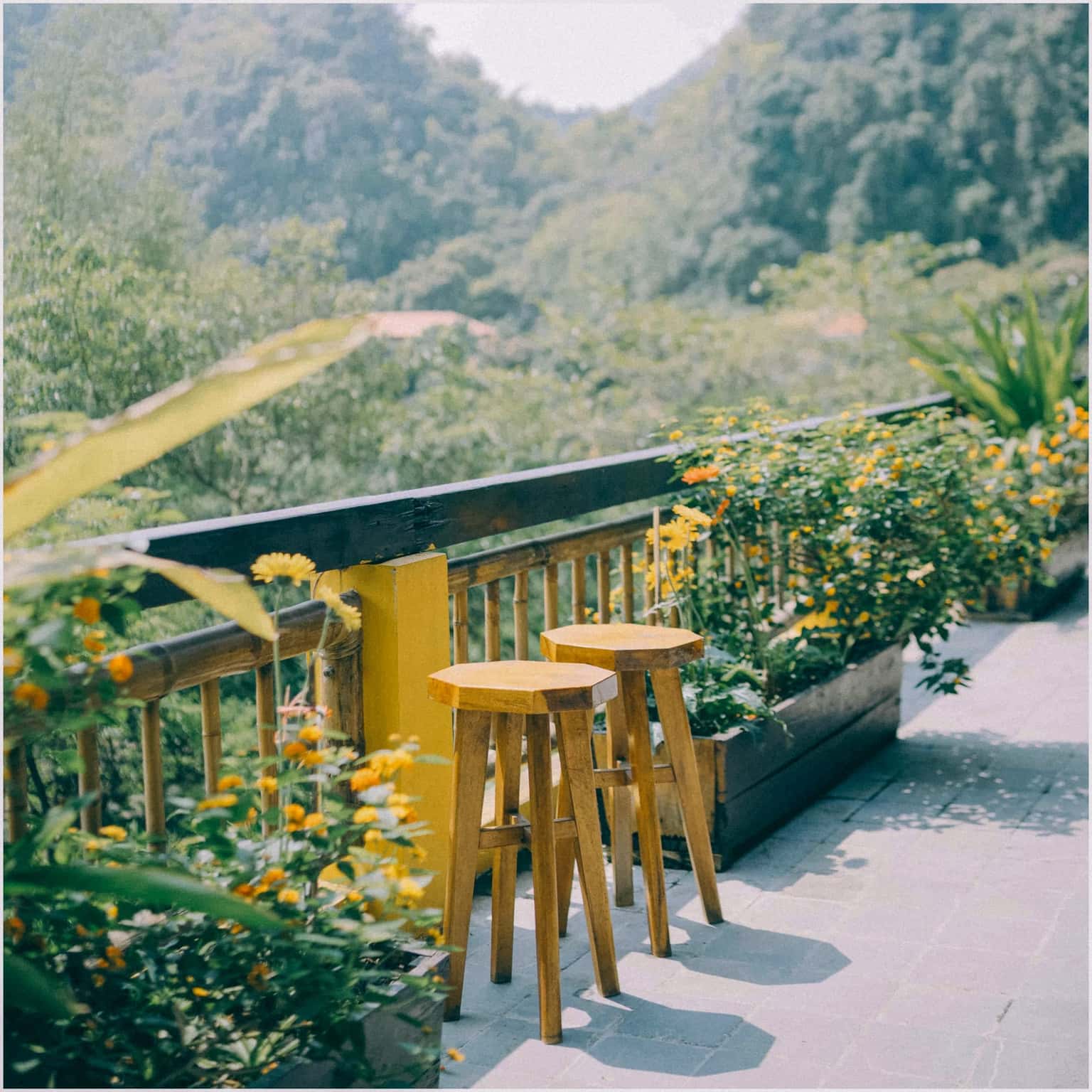justfly trang an ecolodge ninh binh
