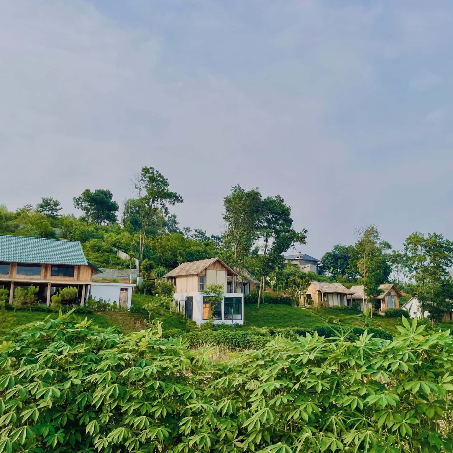 justfly anh khu  mura retreat ba vi