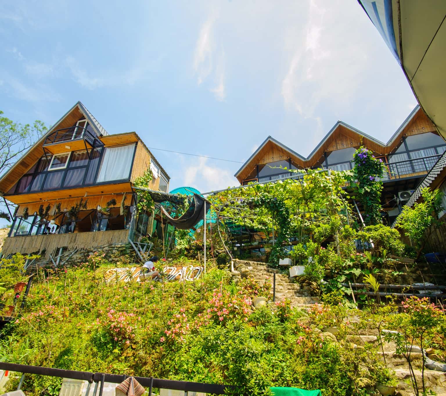 bungalow 1 du thuyen tam dao 