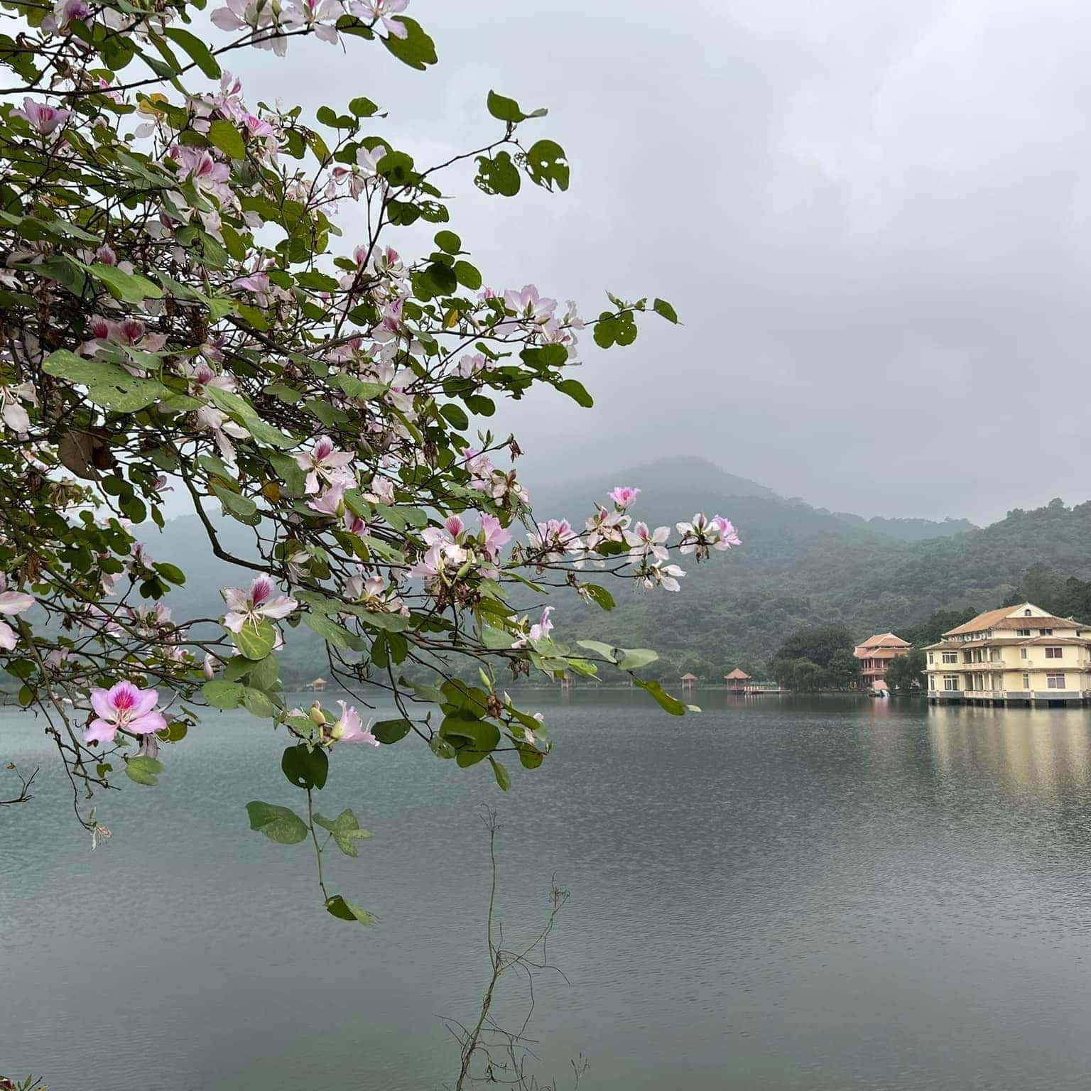 ho tien sa ba vi
