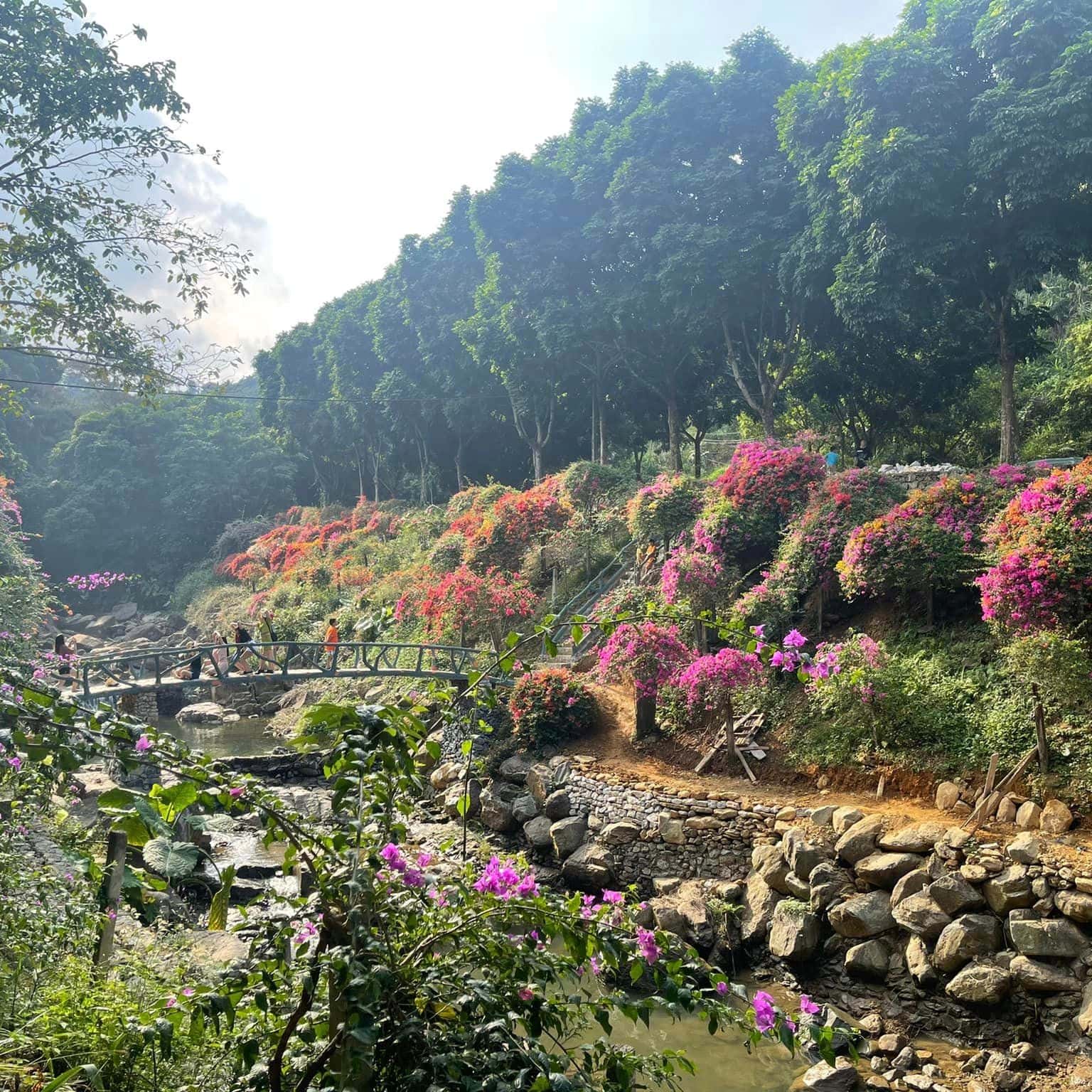 khoang xanh suoi tien ba vi