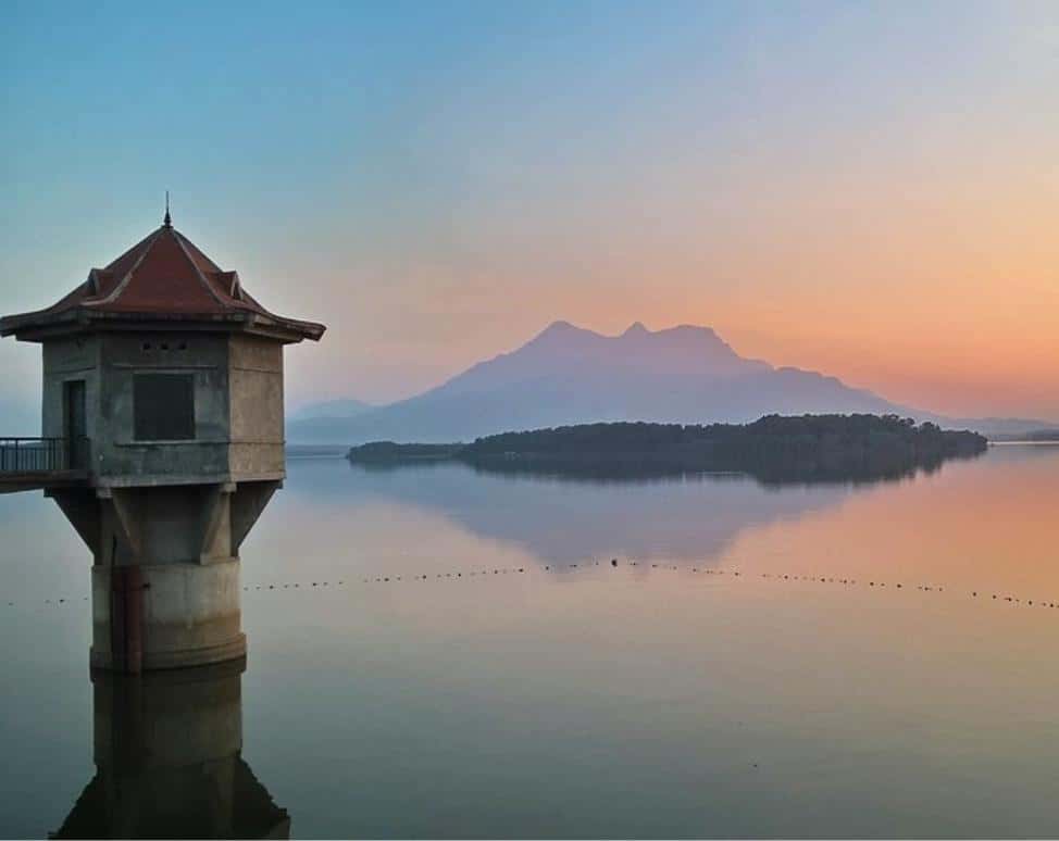suoi hai ba vi
