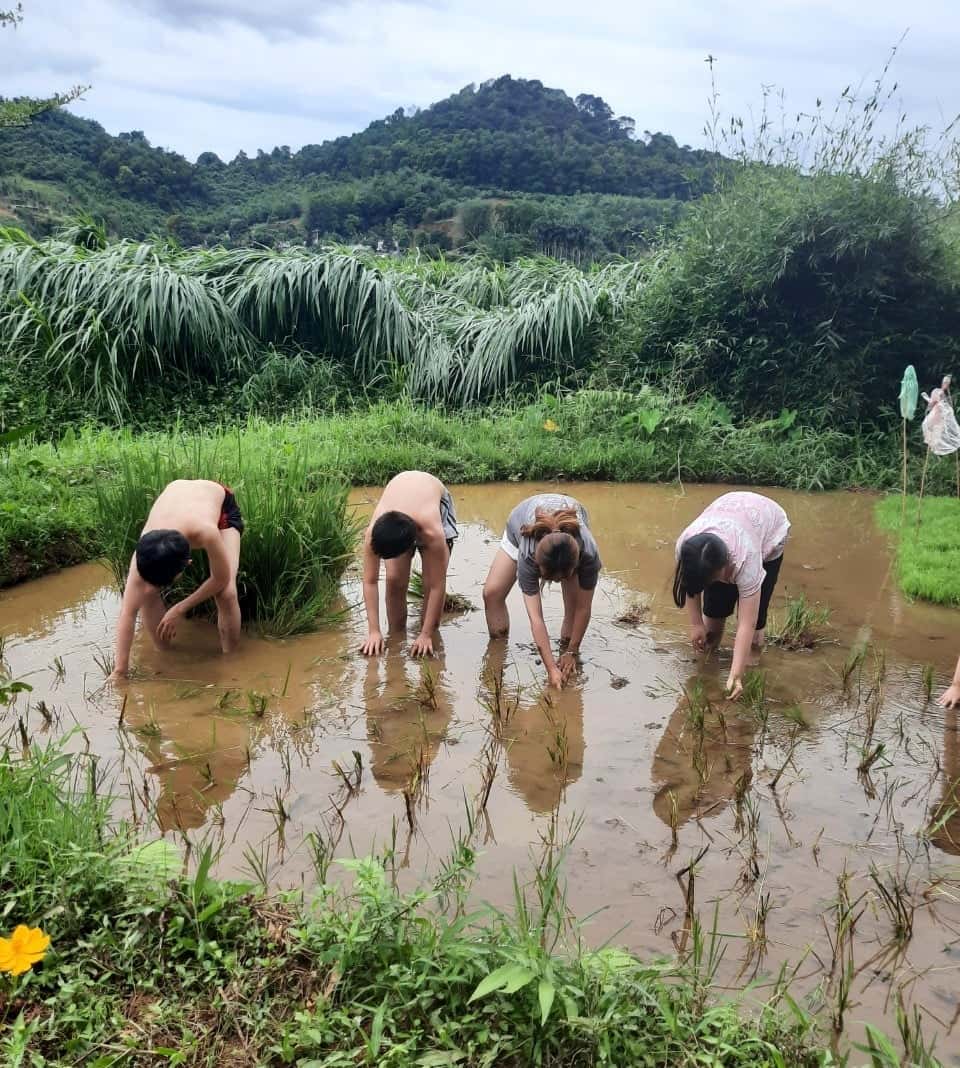 trang trai dong que ba vi