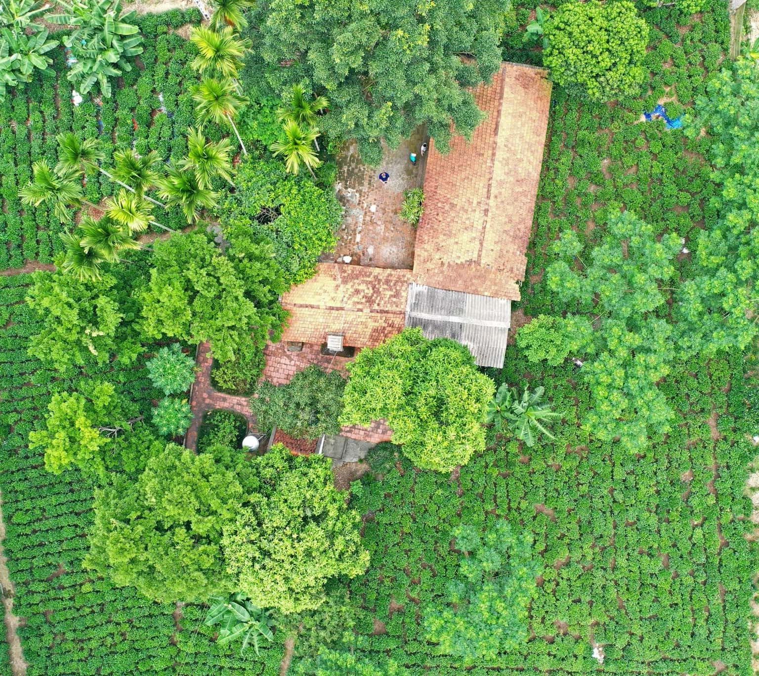 trang trai dong que ba vi
