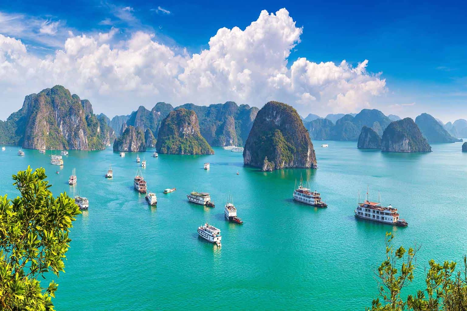 dao tuan chau ha long 