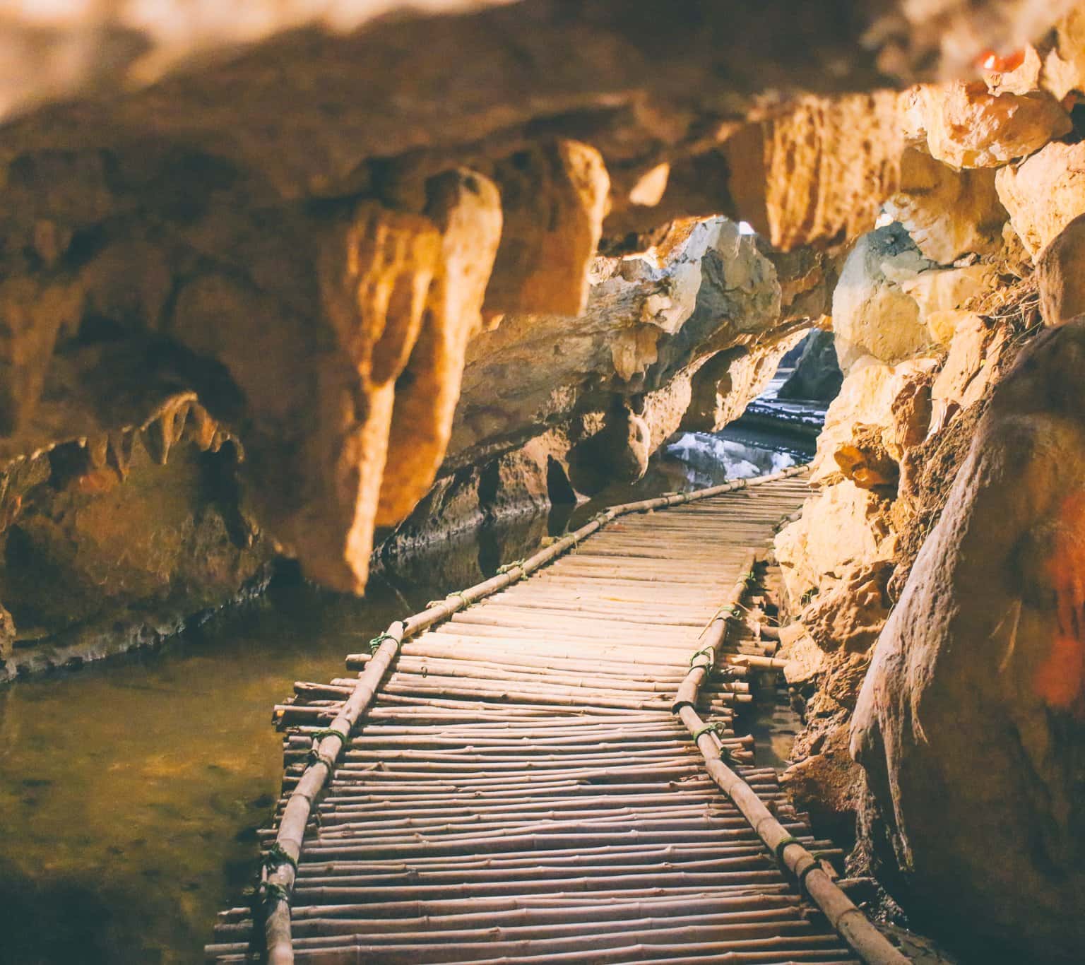 dong tien ca ninh binh 