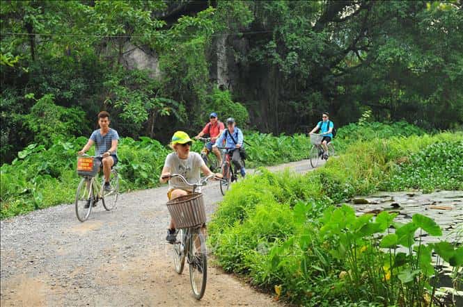 dong thien huong ninh binh