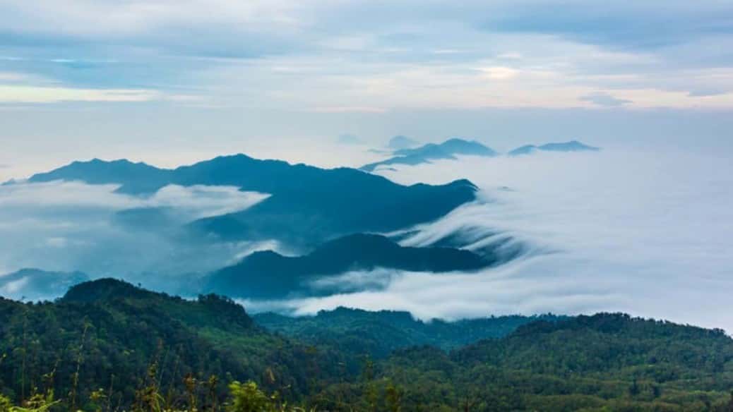 dinh may bac cuc phuong nation park ninh binh 