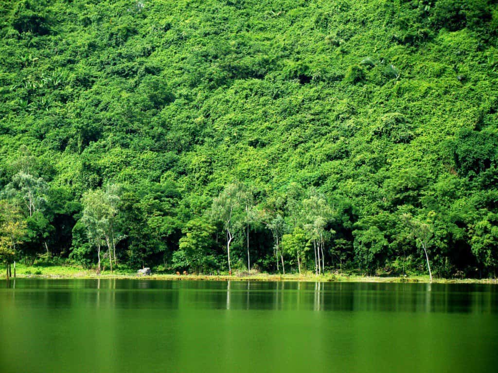 ho yen quang cuc phuong nation park ninh binh 