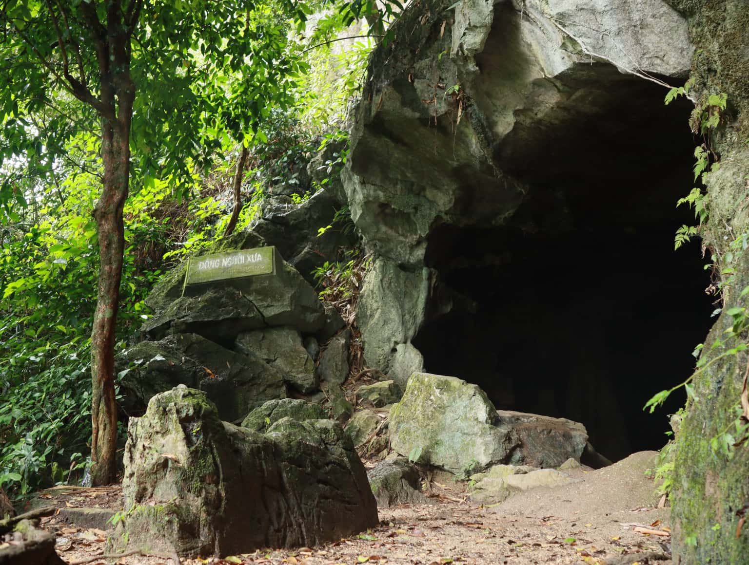 dong nguoi xua cuc phuong national park ninh binh 