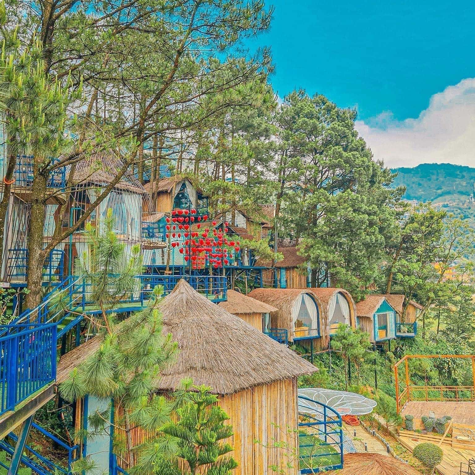 homestay tam dao