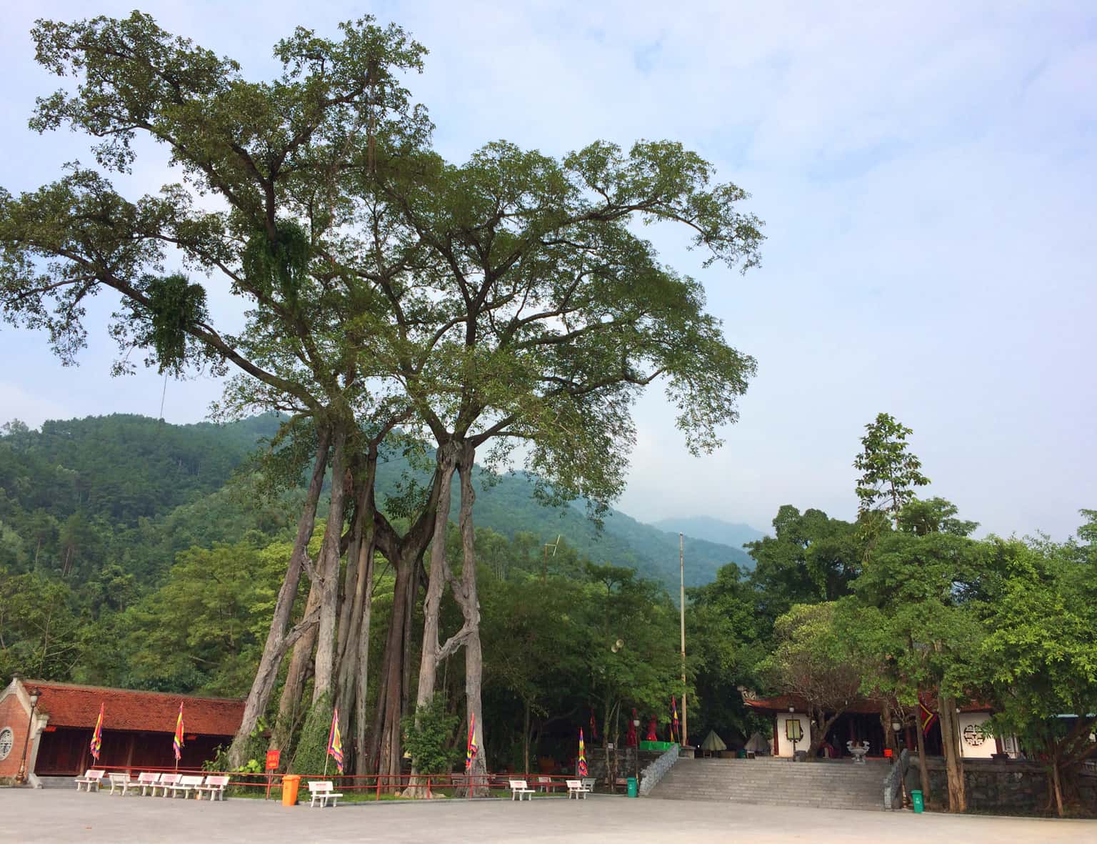 den thong tam dao 
