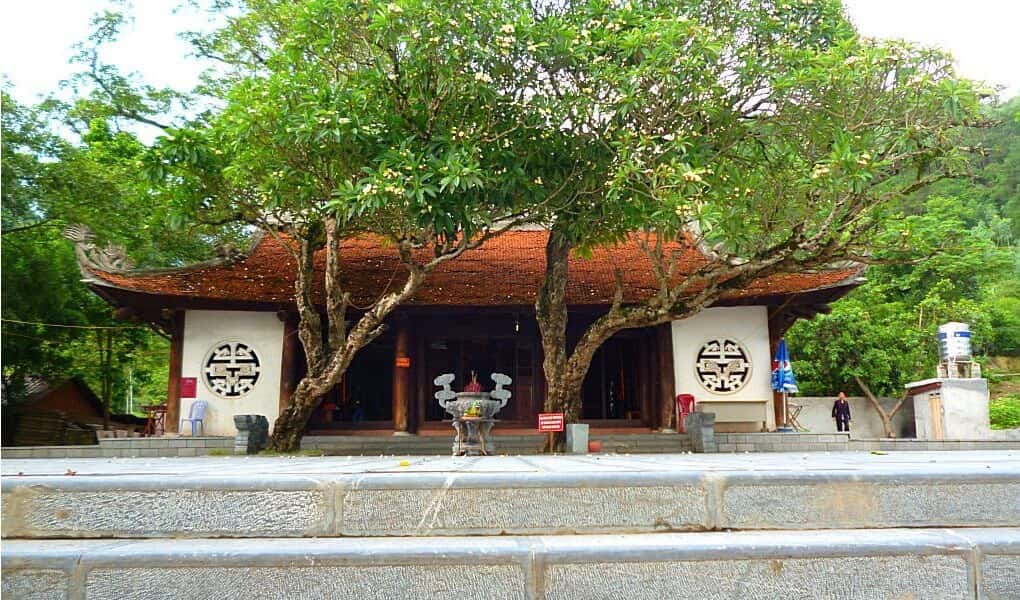 den thong tam dao 