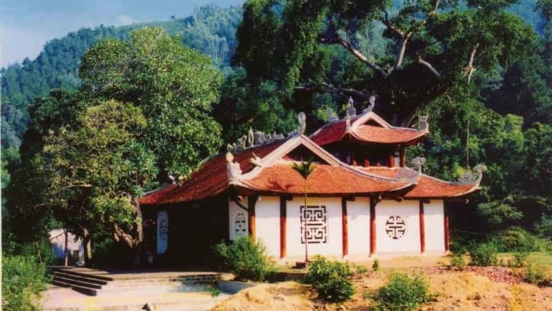 den thong tam dao 