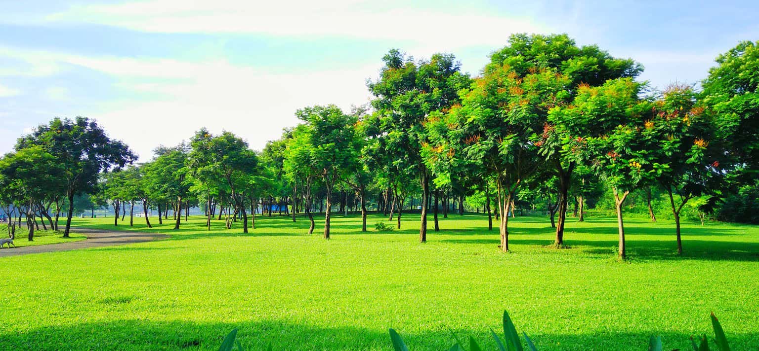 cong vien yen so ha noi 