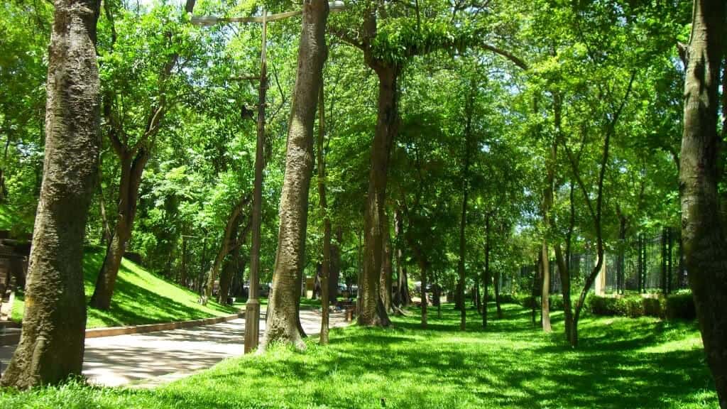 vuon bach thao ha noi 