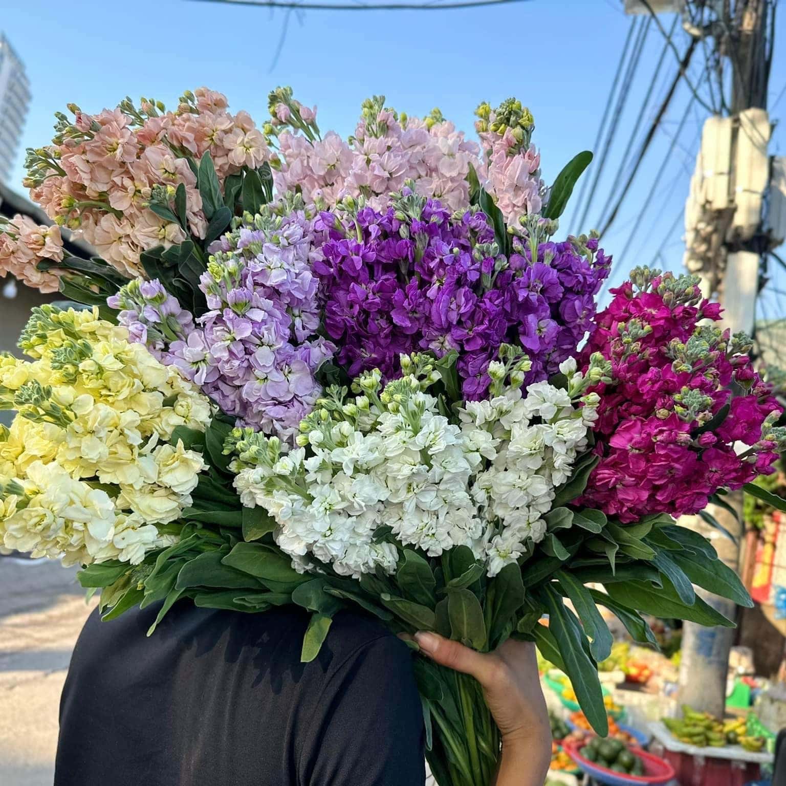 cho hoa quang ba ha noi 