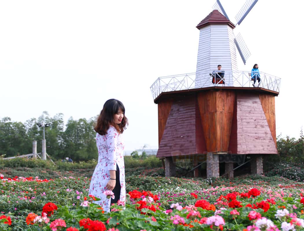 thung lung hoa ho tay ha noi 