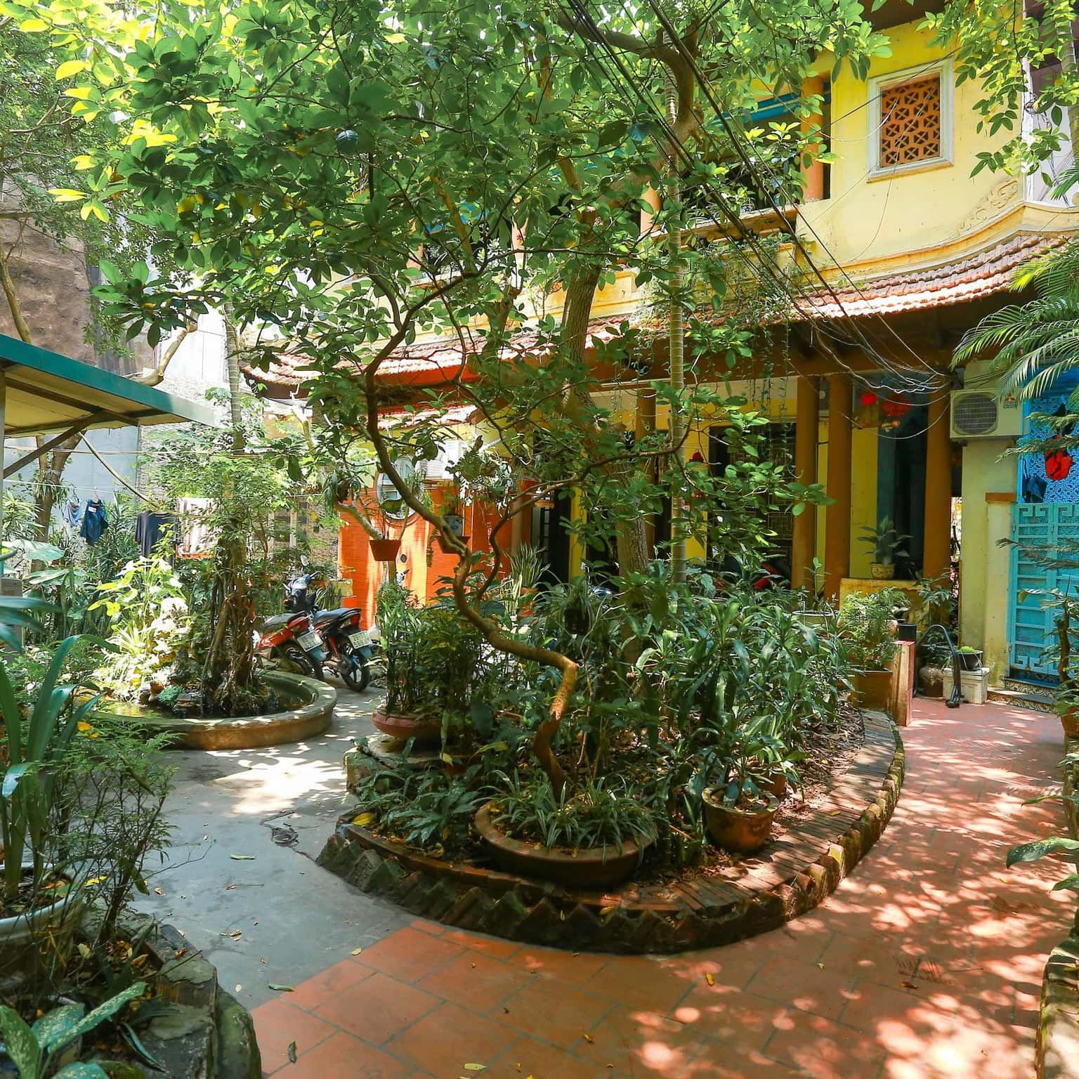 nha co ha noi 