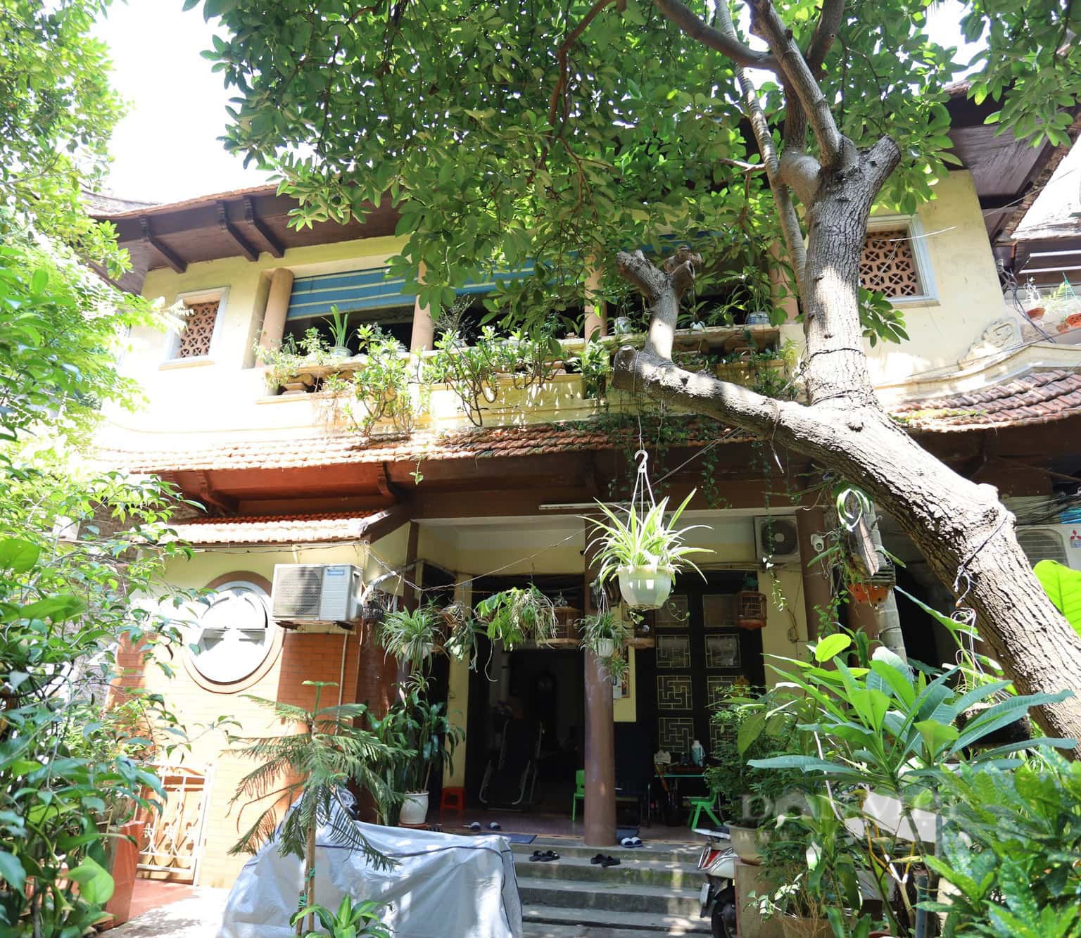 nha co ha noi 