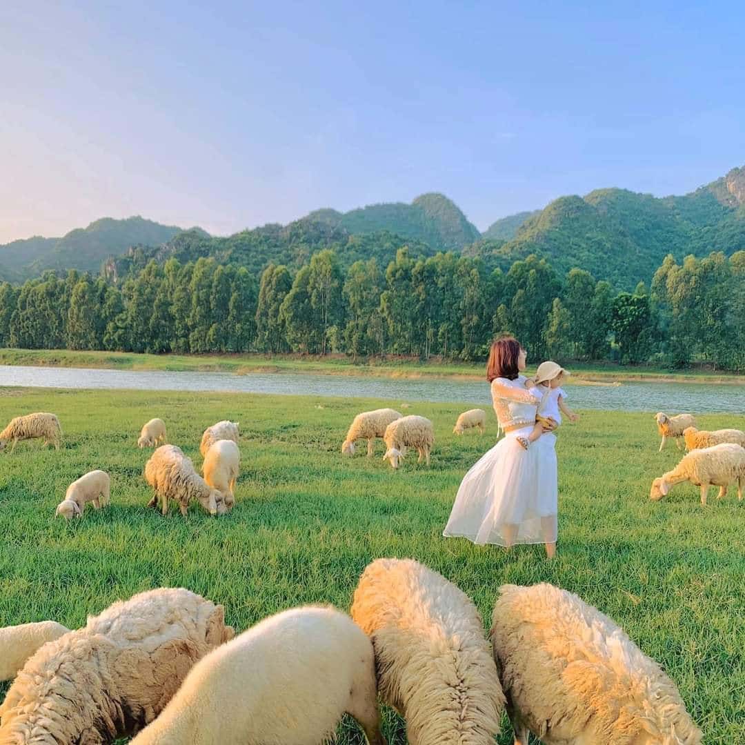 doi cuu dia diem du lich ninh binh attnib18