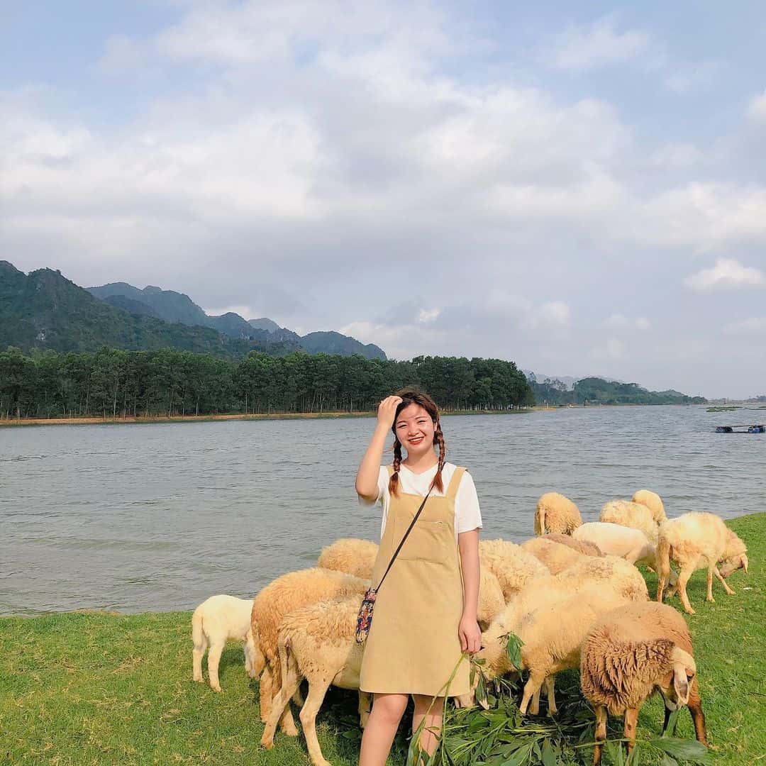 doi cuu dia diem du lich ninh binh attnib18