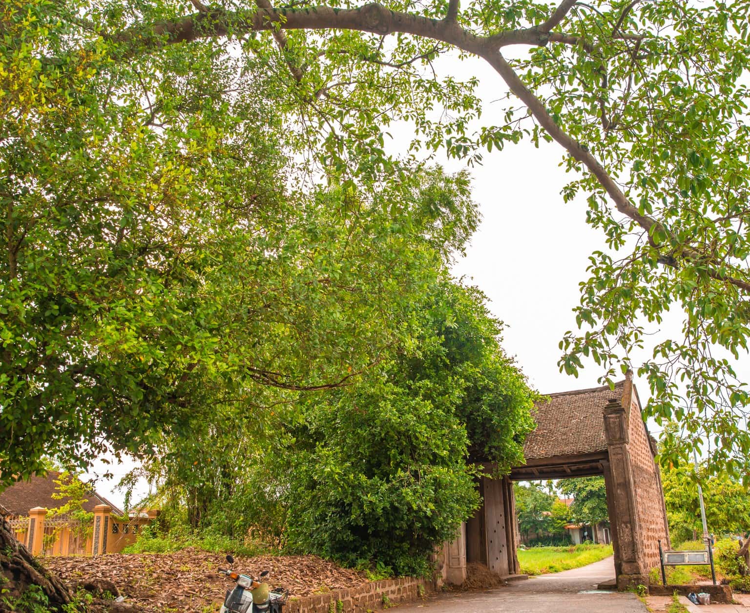 lang co duong lam son tay dia diem du lich ha noi atthan82