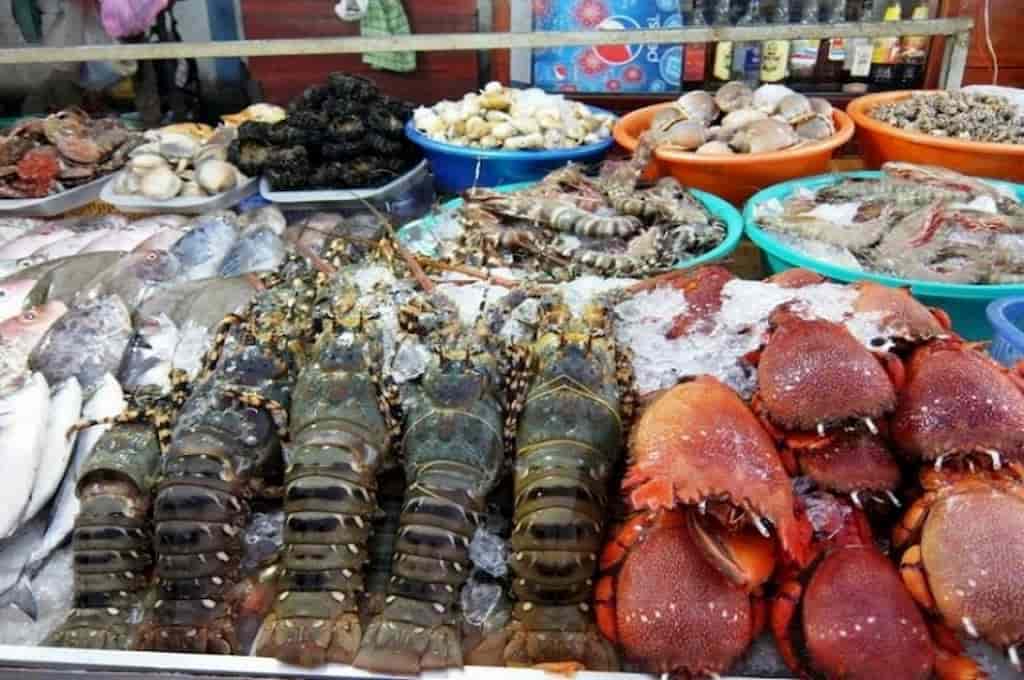 cho dam dia diem du lich nha trang attcxr32