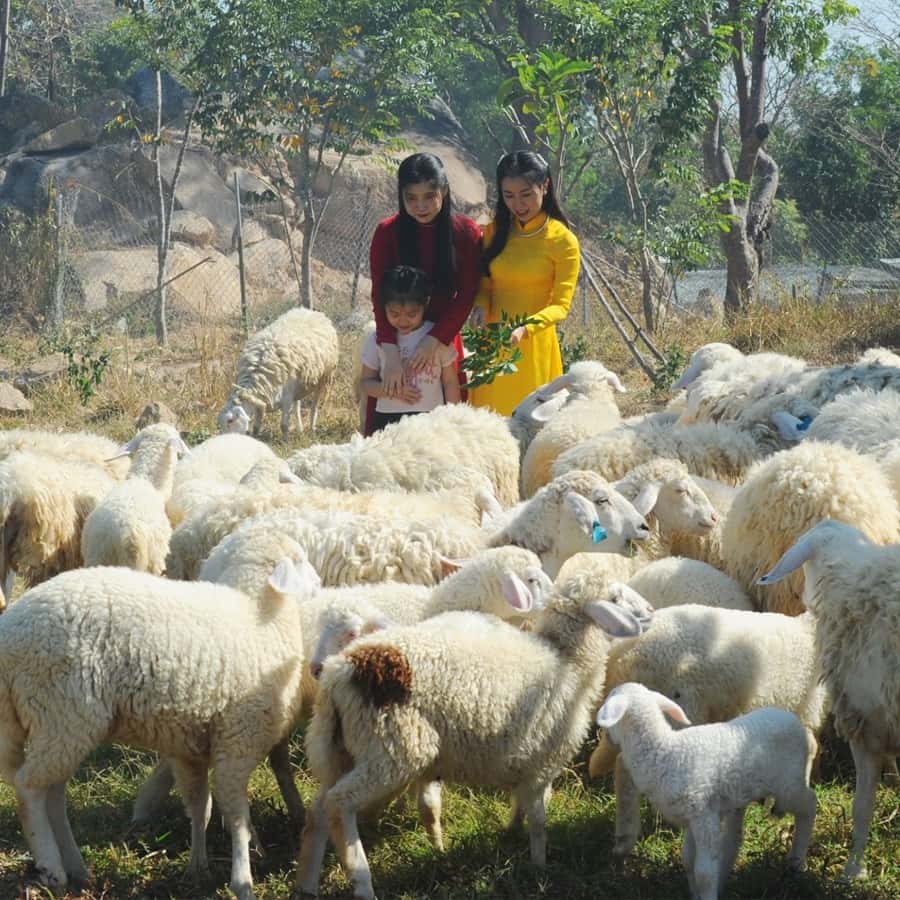 khu du lich ho may dia diem du lich vung tau attvut17
