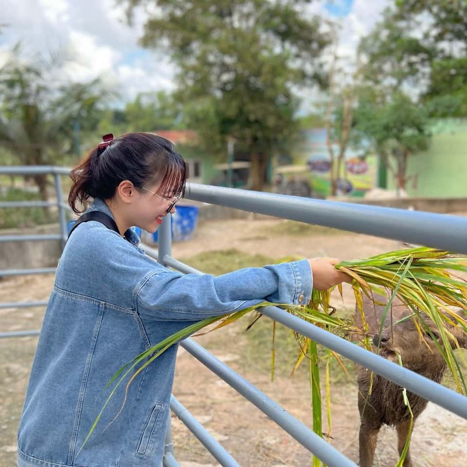 khu du lich ho may dia diem du lich vung tau attvut17