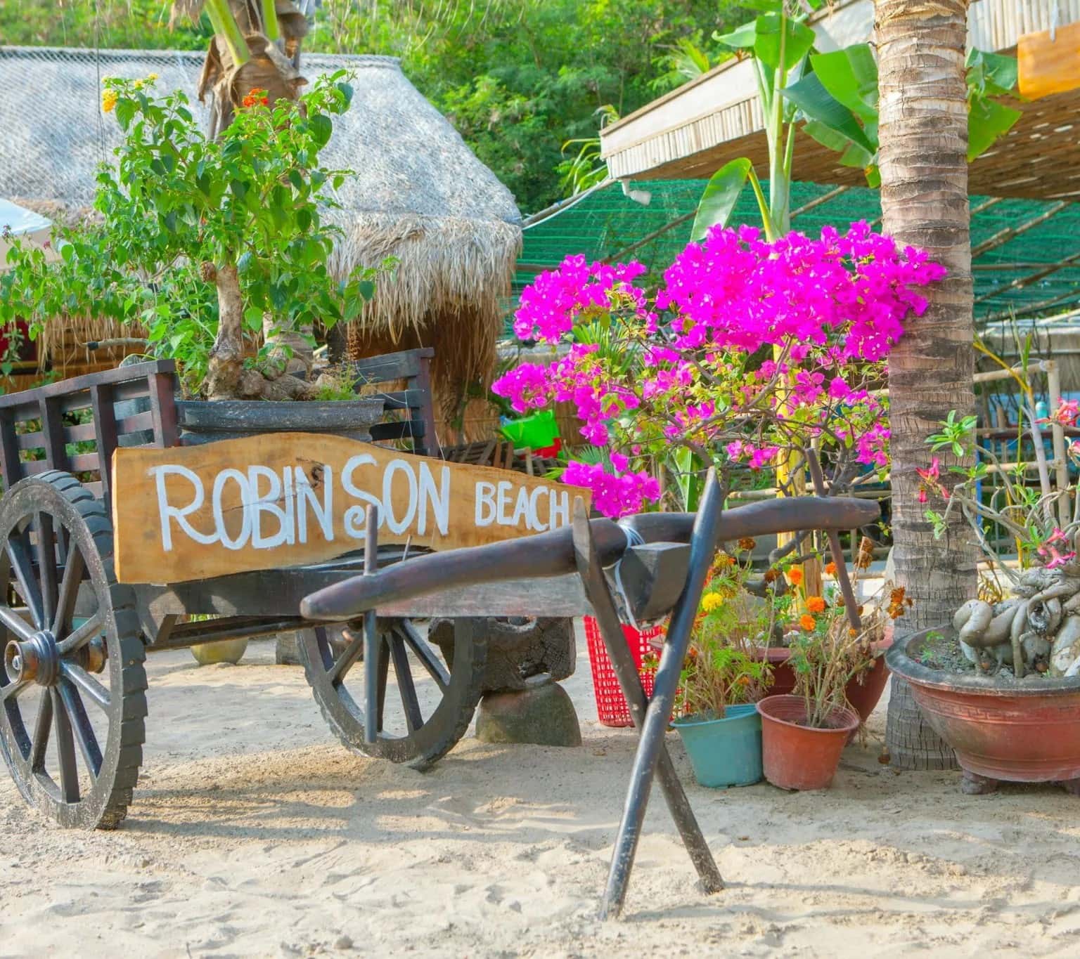 dao robinson dia diem du lich nha trang attcxr27