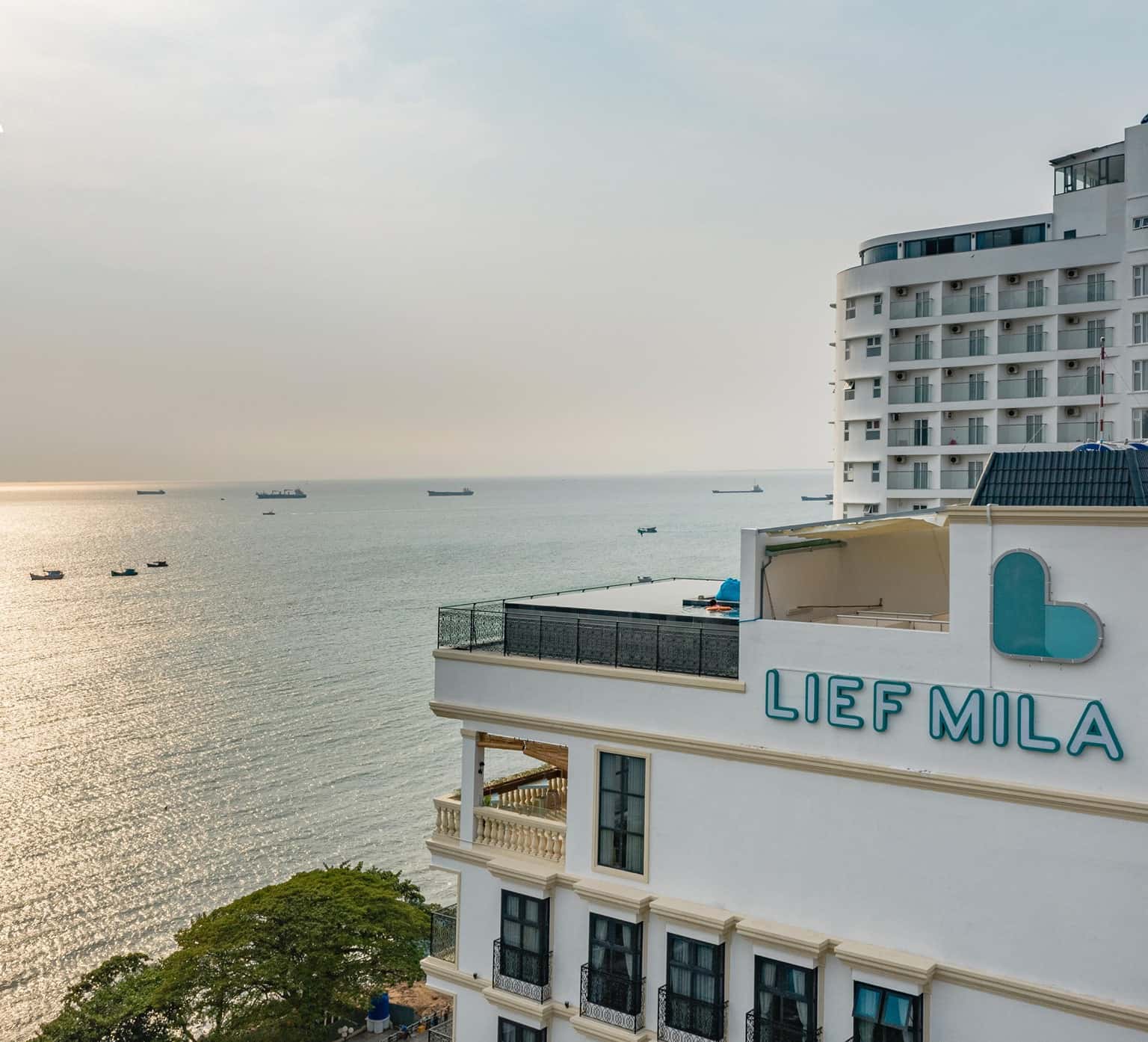 lief mila vung tau 