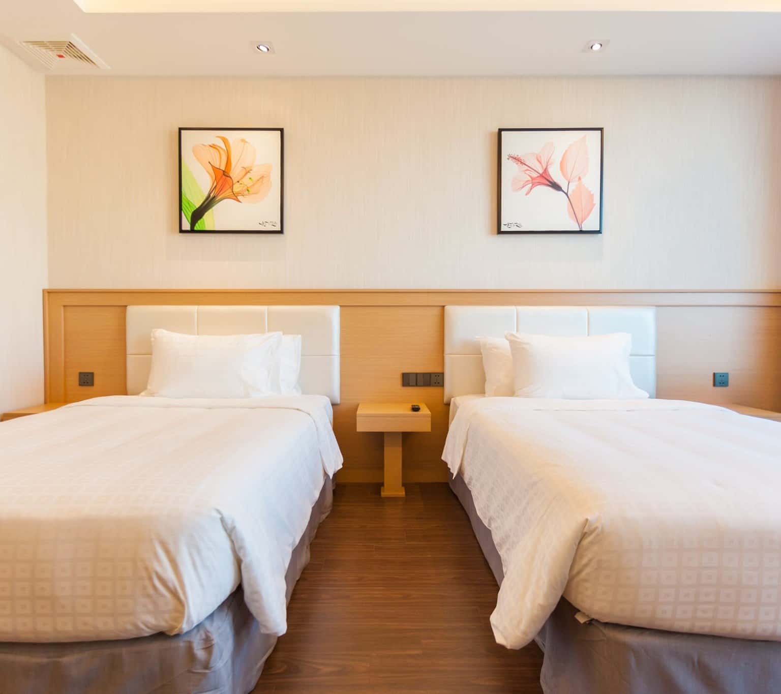 vung tau riva hotel 