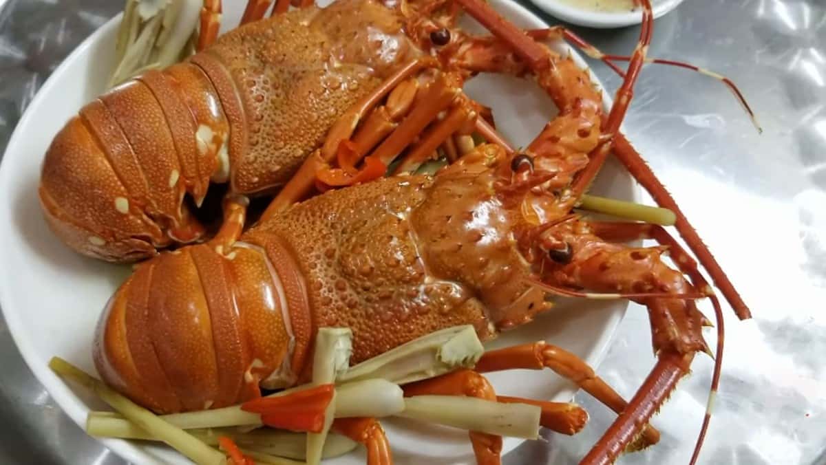nha hang thanh phat 1 vung tau 