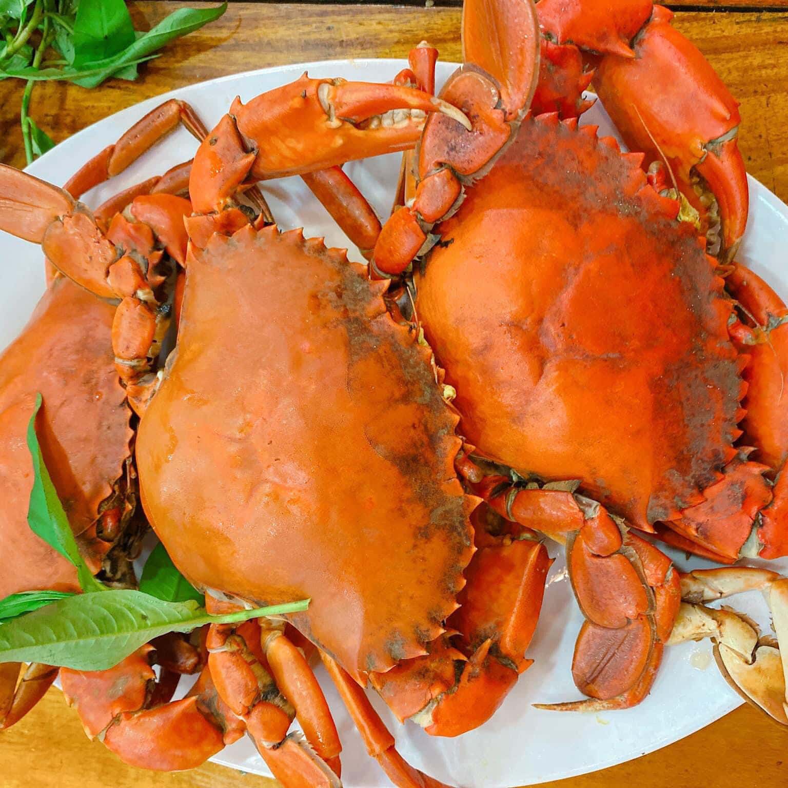nha hang thanh phat 1 vung tau 