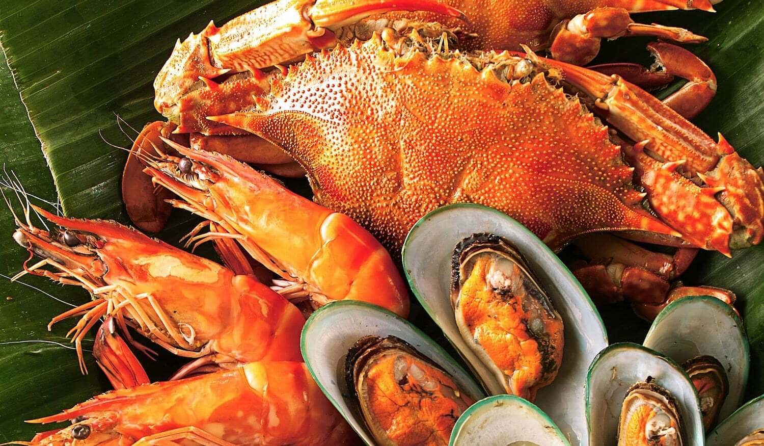 khu am thuc hon ru ri vung tau