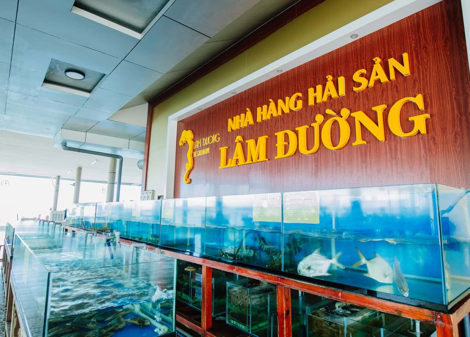 nha hang hai san duong lam vung tau 