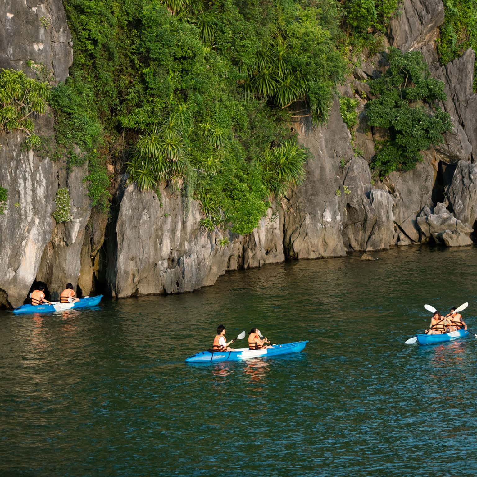pelican glory pelican cruise ha long