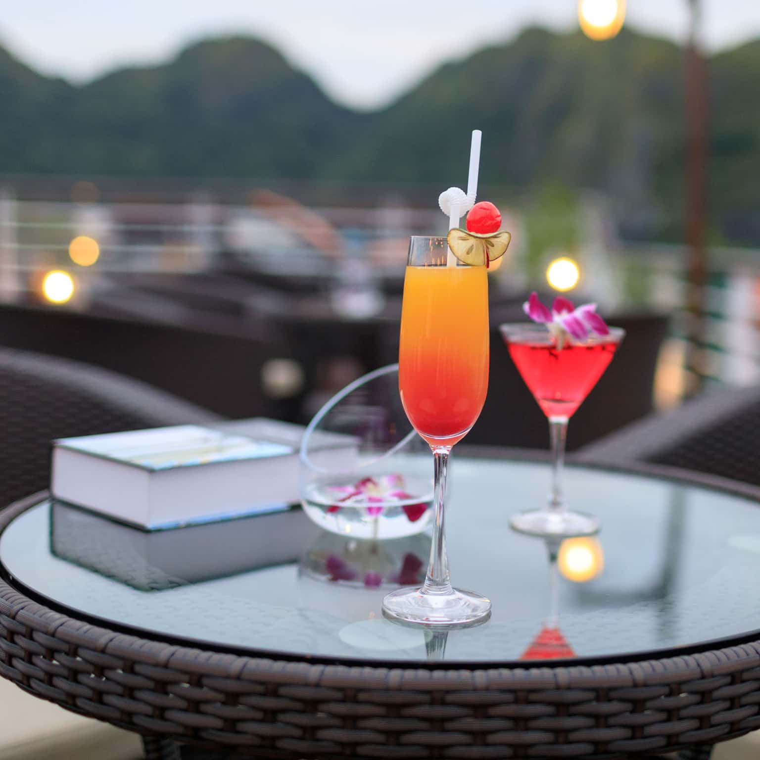 orchid preminum pelican cruise ha long 