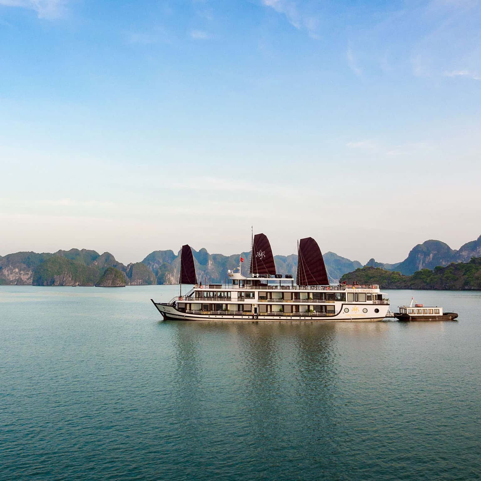 orchid trendy pelican cruise ha long bay 