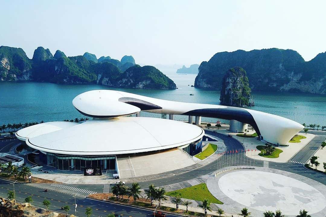 cung ca heo ha long