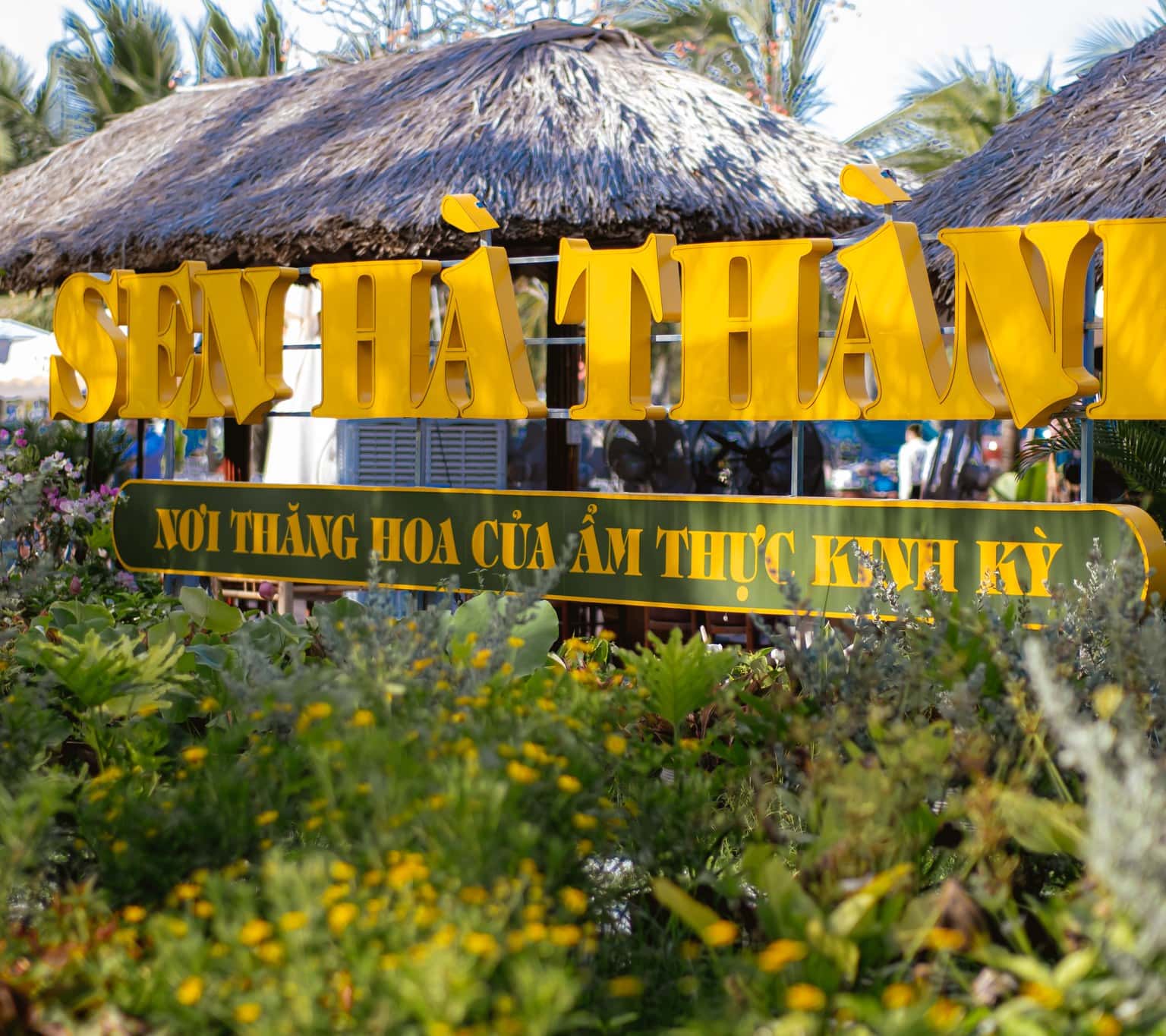 buffet sen thanh ha long