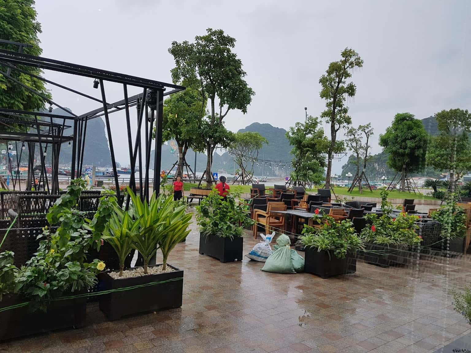 highlands coffee vincom ha long