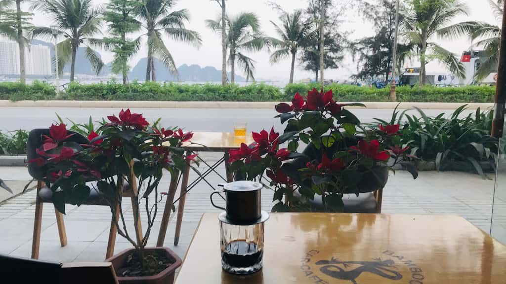 cafe bamboo ha long