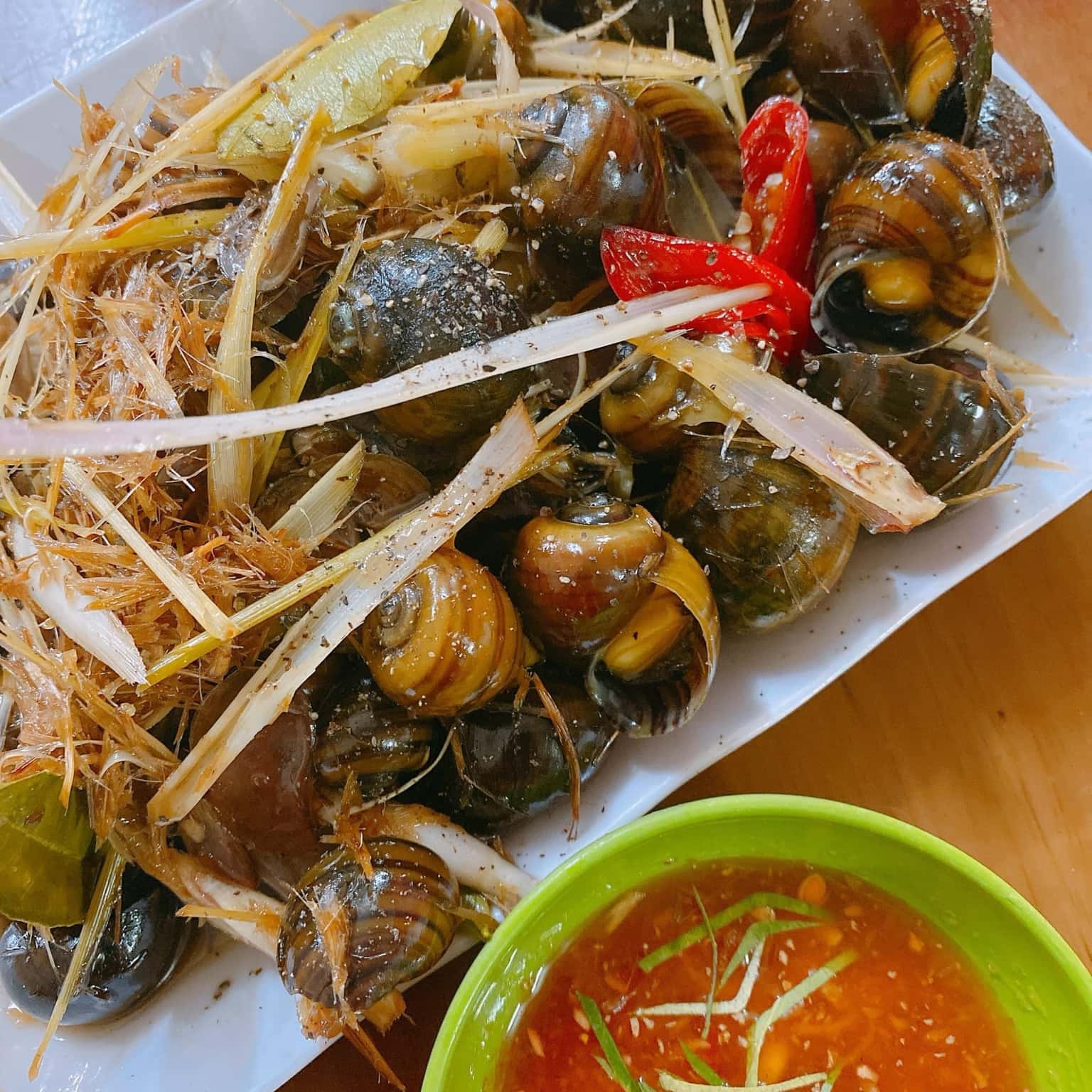 oc gat gu ha long