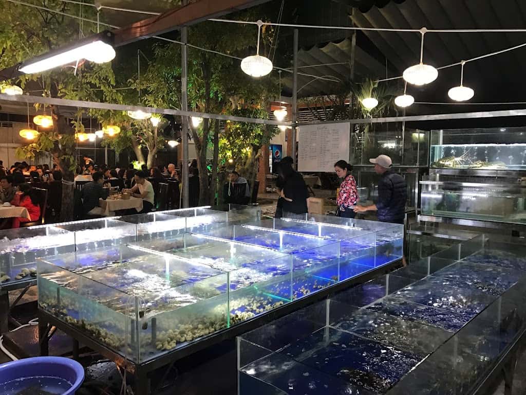 nha hang cay sung da nang 