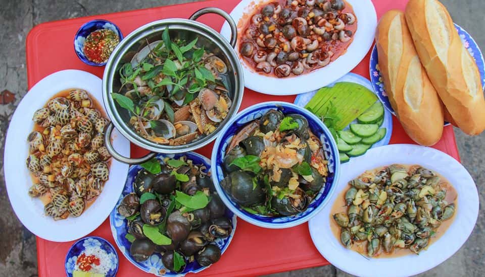 oc cay ha noi da nang