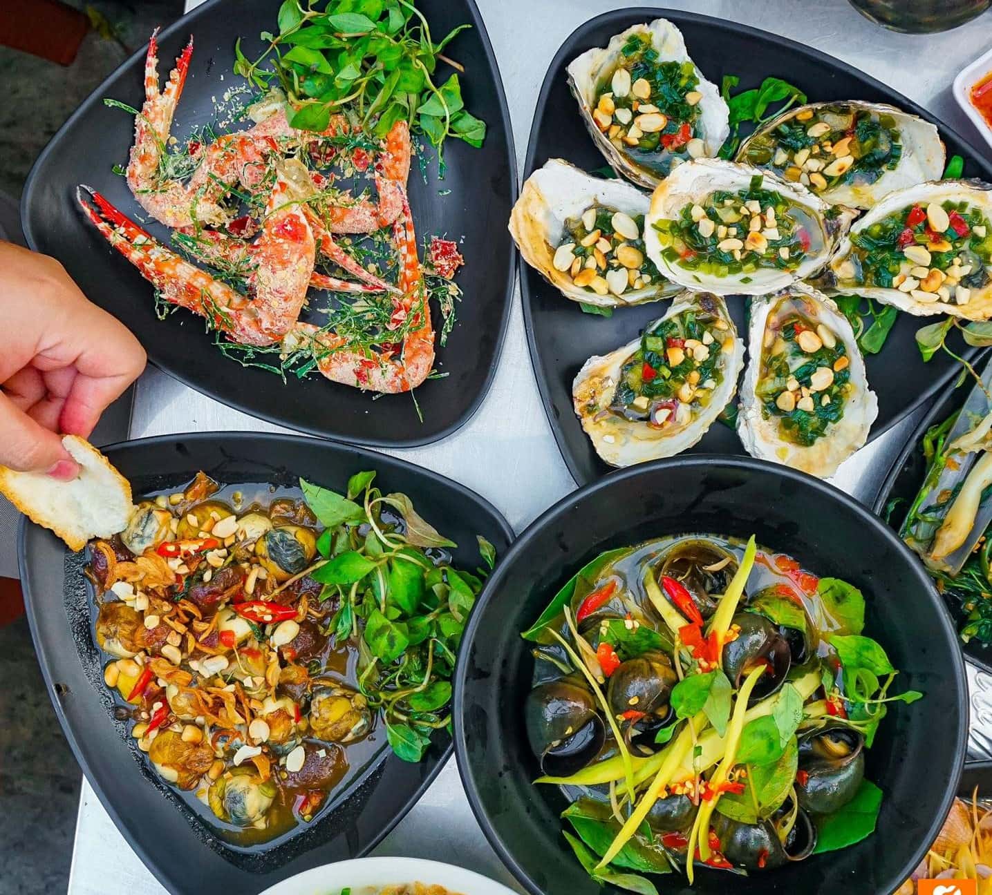 oc dem sai gon da nang